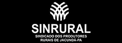 Desenrola Soluções: Agência de Marketing Digital completa. Impulsione seu negócio com Gestão de Tráfego, Criação de Sites, SEO e Social Media. Fale conosco!